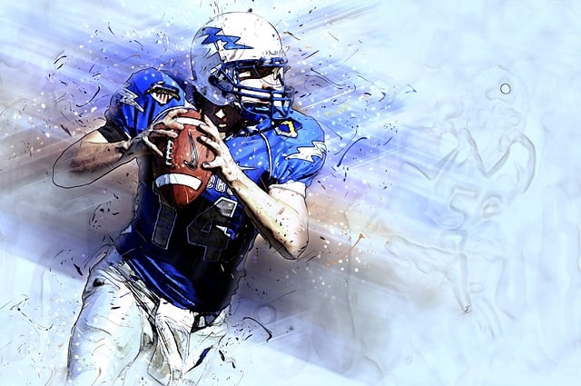 的转会支出 的转会支出