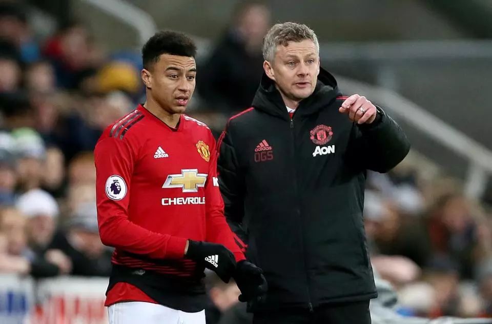 们顽强的意 们顽强的意